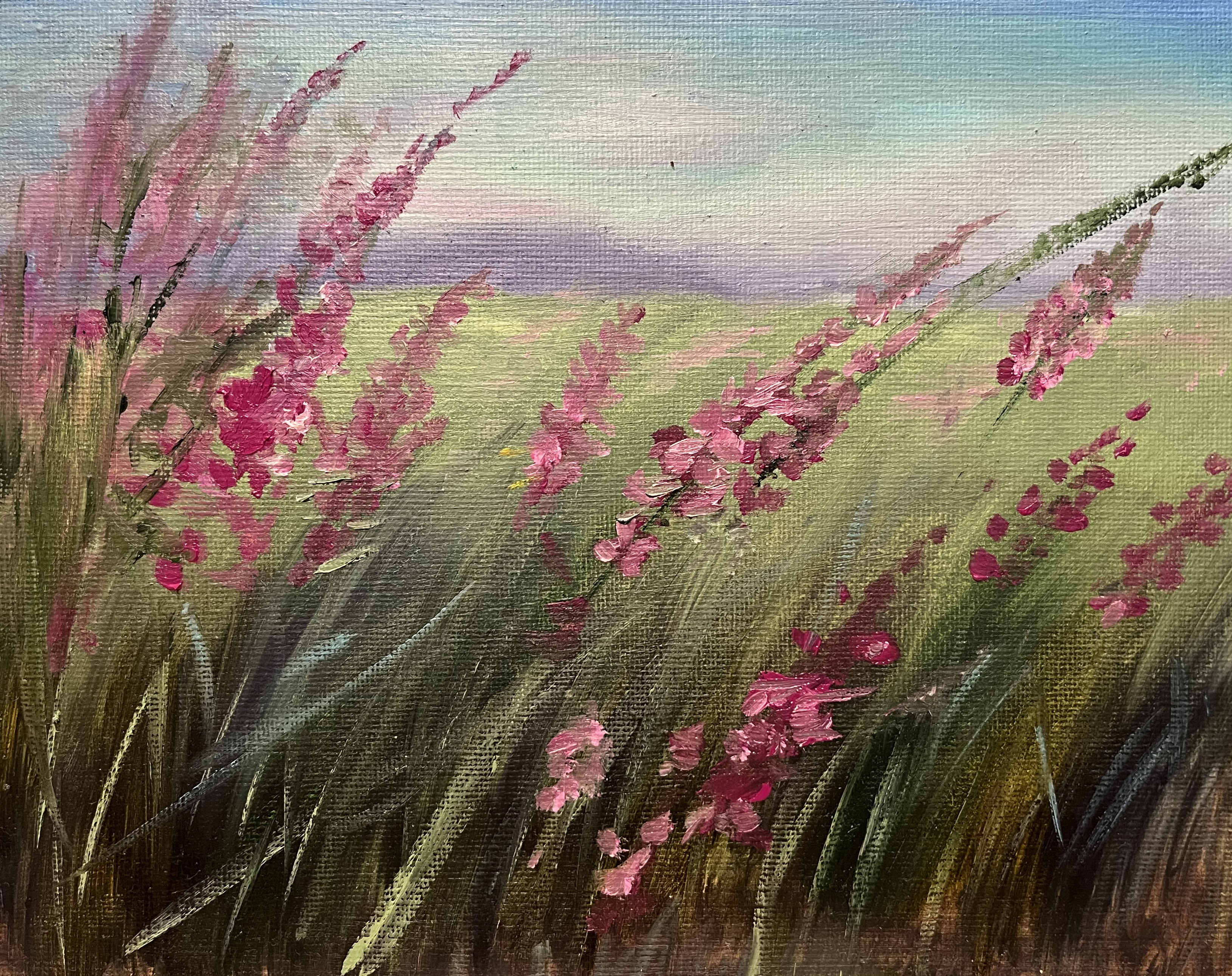 Risunok 2 Mesto Ilyukova