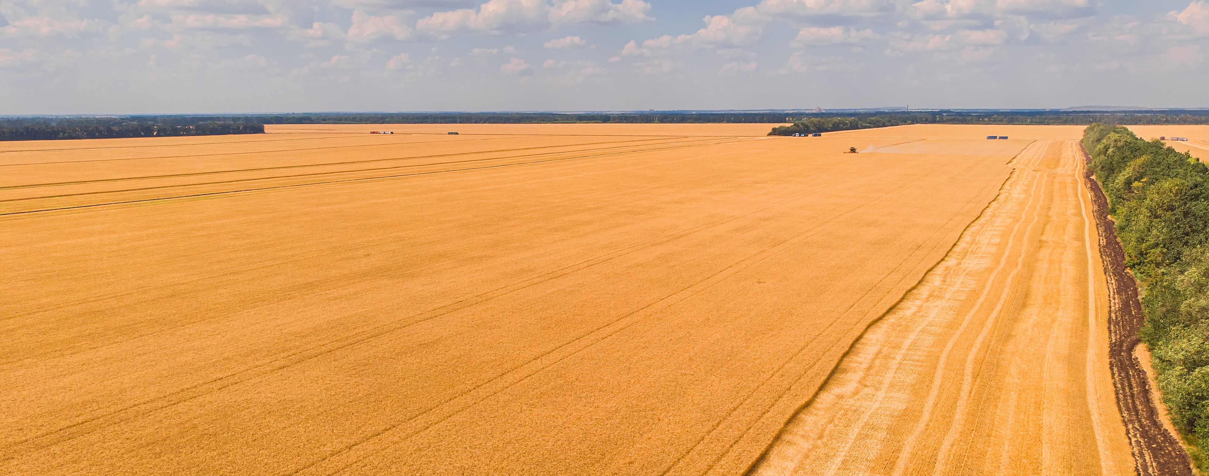 Aerial View Of Summer Harvest Combine Harvester Harvesting Large Field