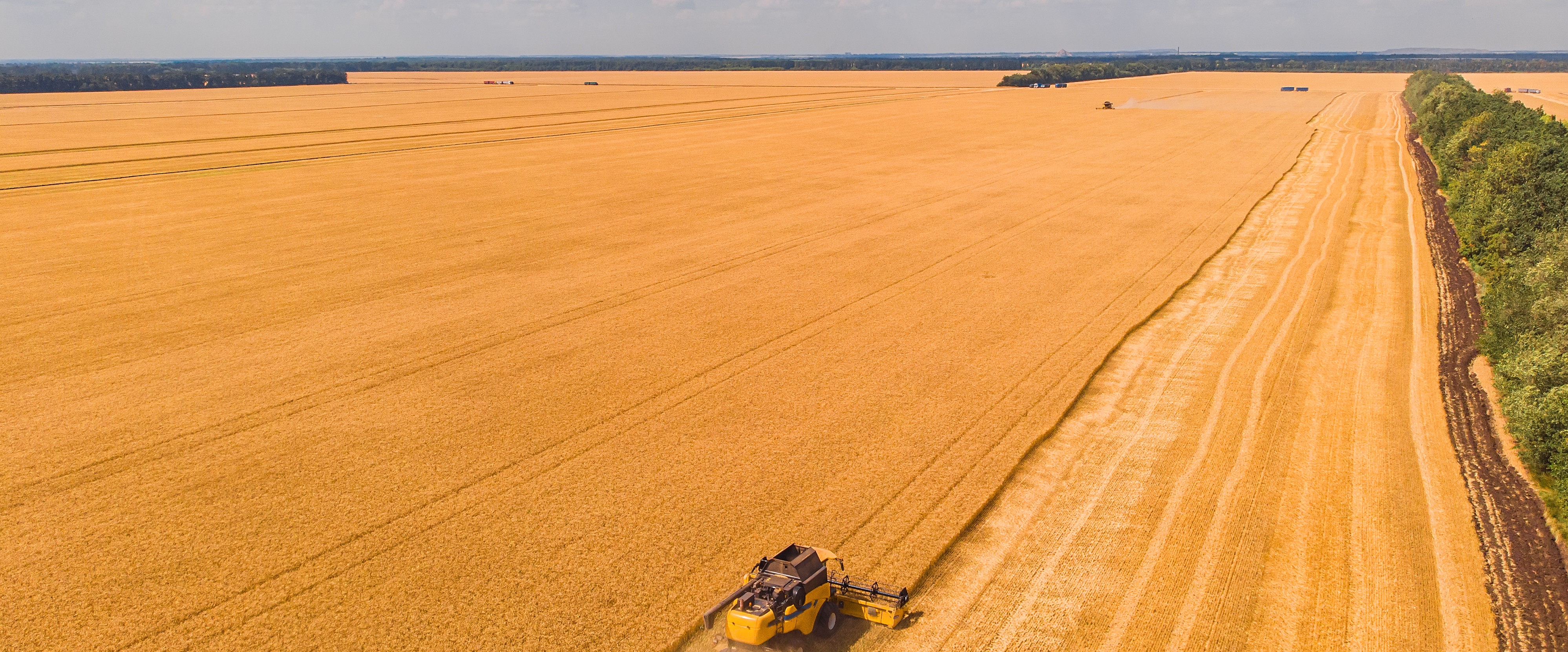 Aerial View Of Summer Harvest Combine Harvester Harvesting Large Field