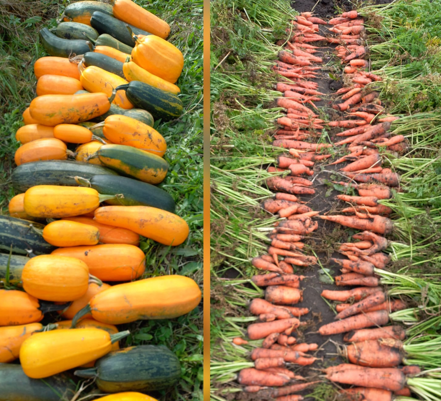 Fee331df Bceb 4983 8778 132ddc6bdb43