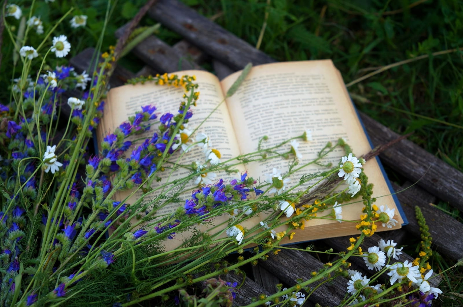 Xobbi 1 Mesto Zaxarycheva