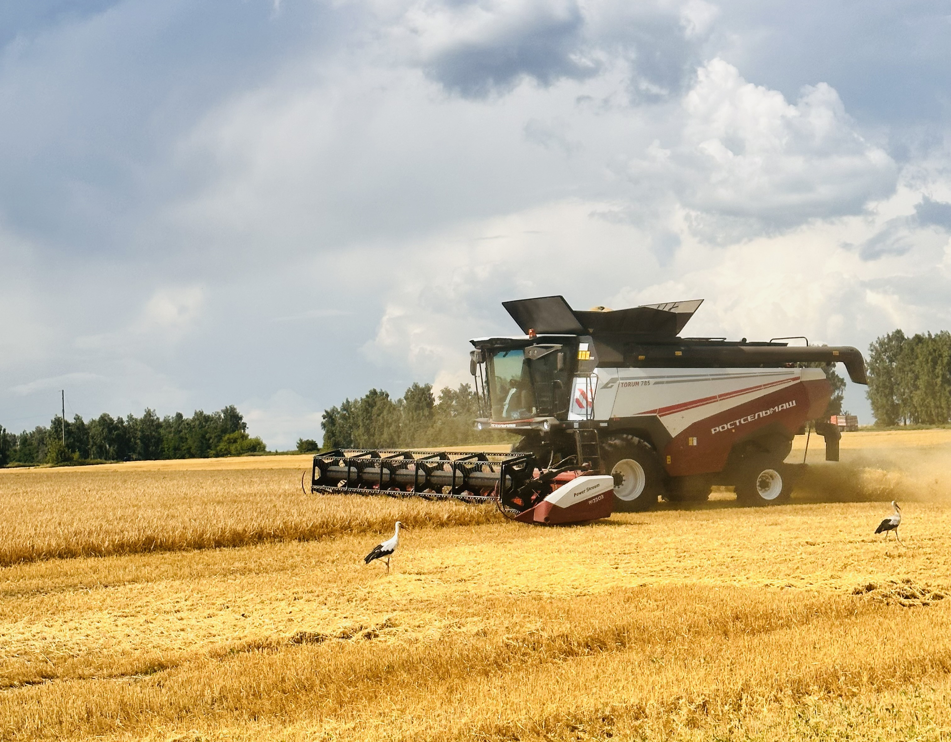 Vzglyad Vdal 1 Mesto Ipatova