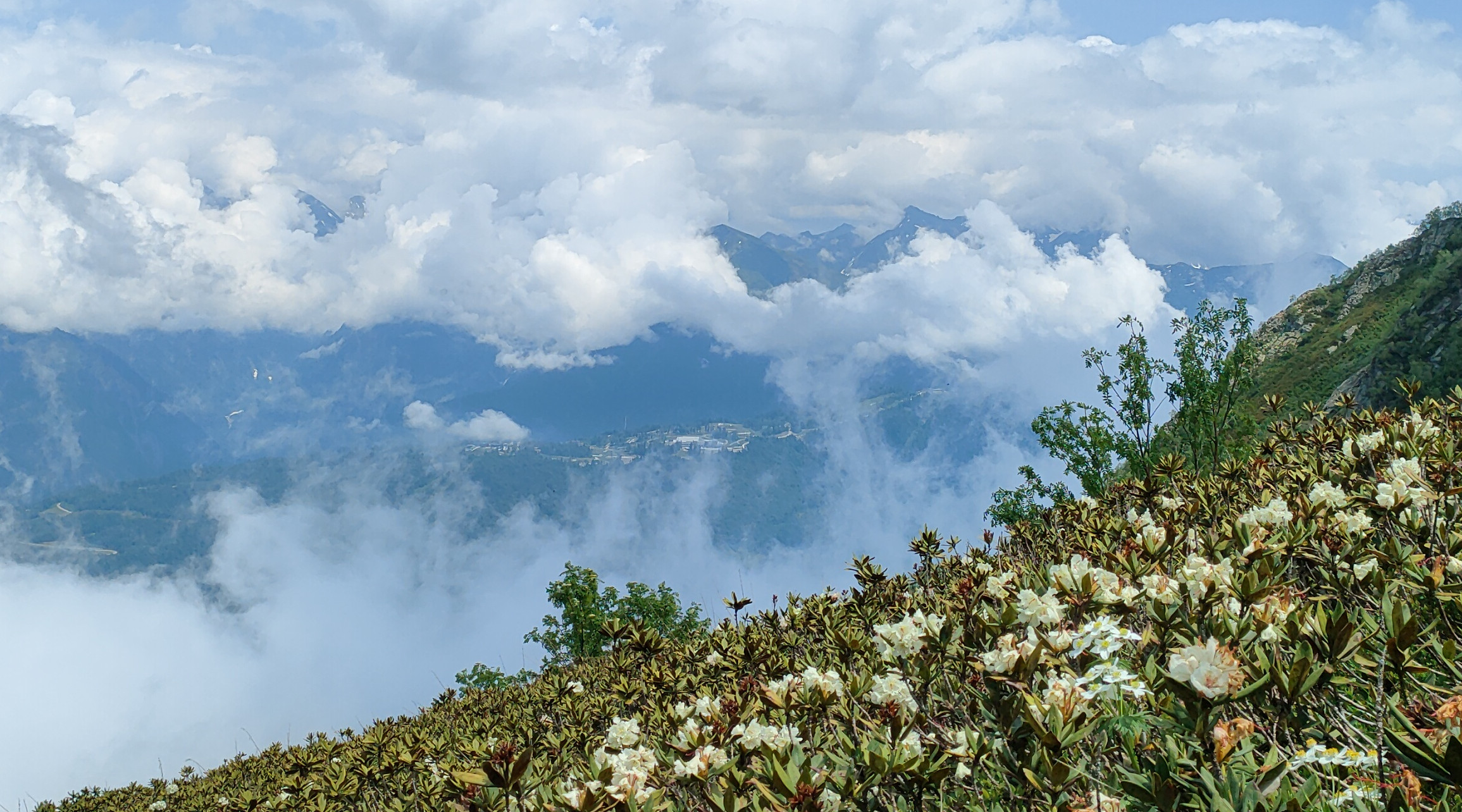 Vzglyad Vdal 2 Mesto Krysanova
