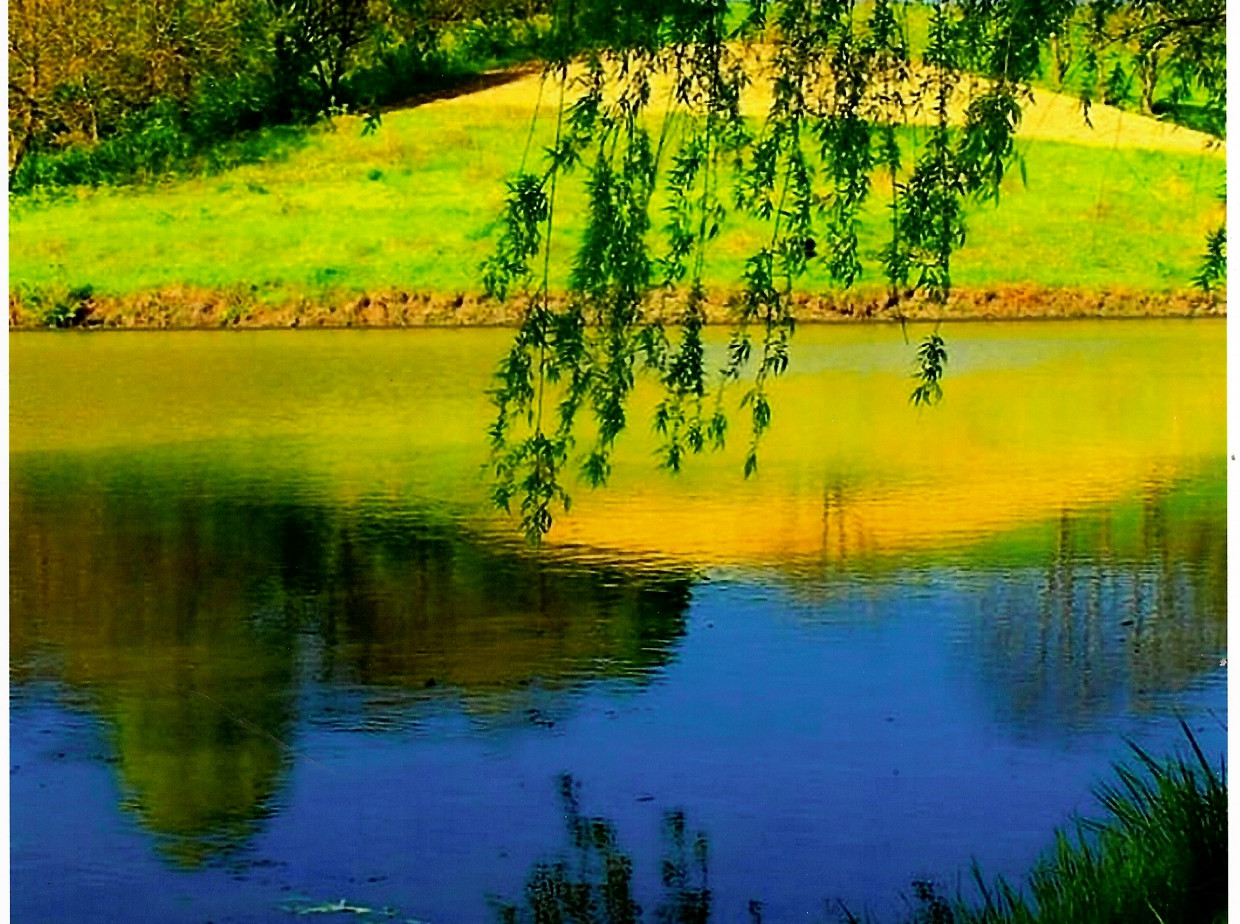 Vzglyad Vdal 3 Mesto Ryazanova