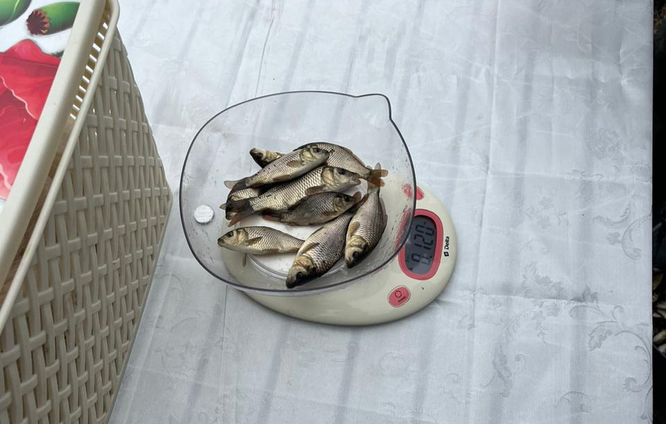 Whatsapp Image 2025 11 11 At 1351 35