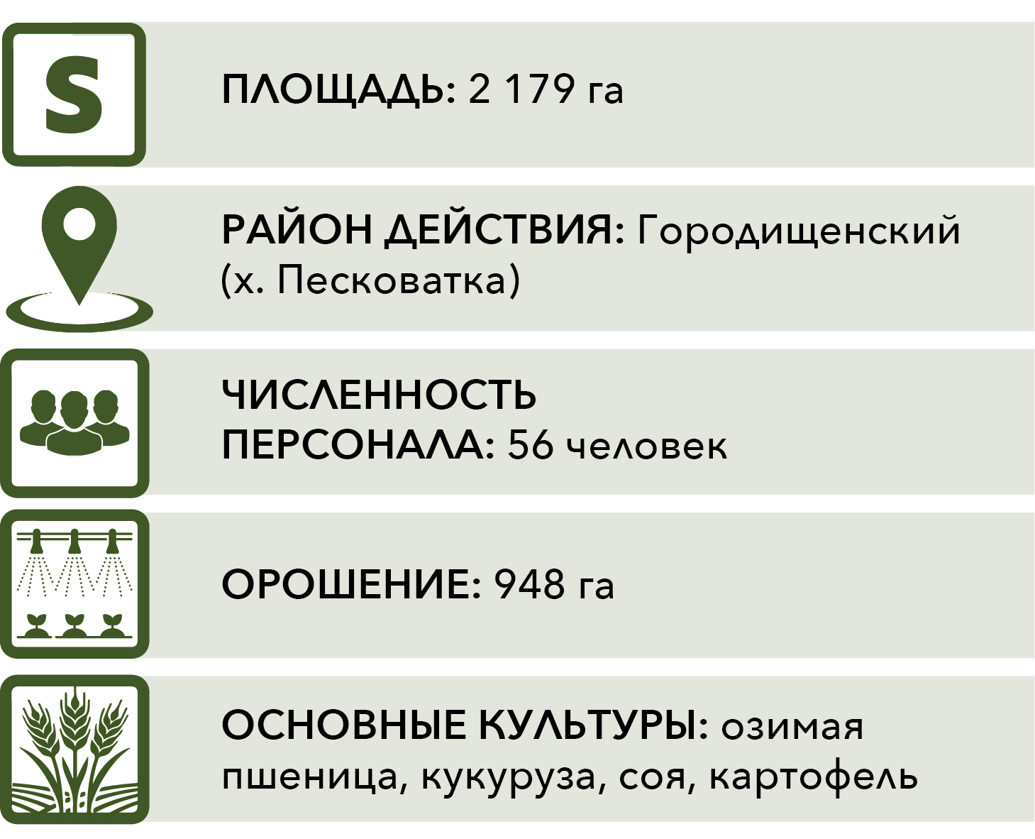 Istoriya Gruppy Ikonki 01