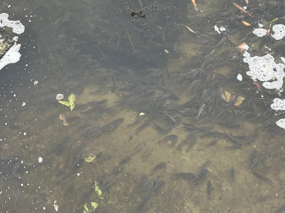 Whatsapp Image 2025 11 11 At 1352 08