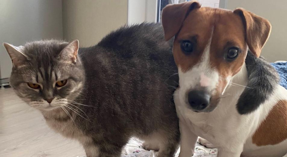 Rodnye I Blizkie 3 Mesto Xannikova