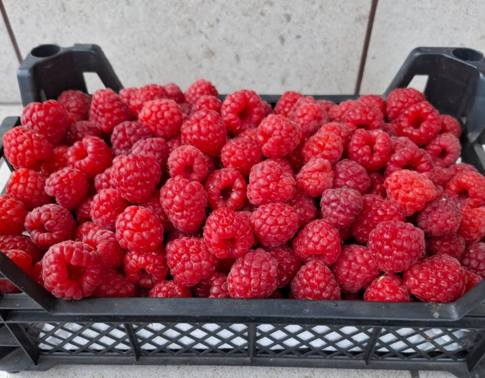 Photo 2025 10 27 14 43 33 6