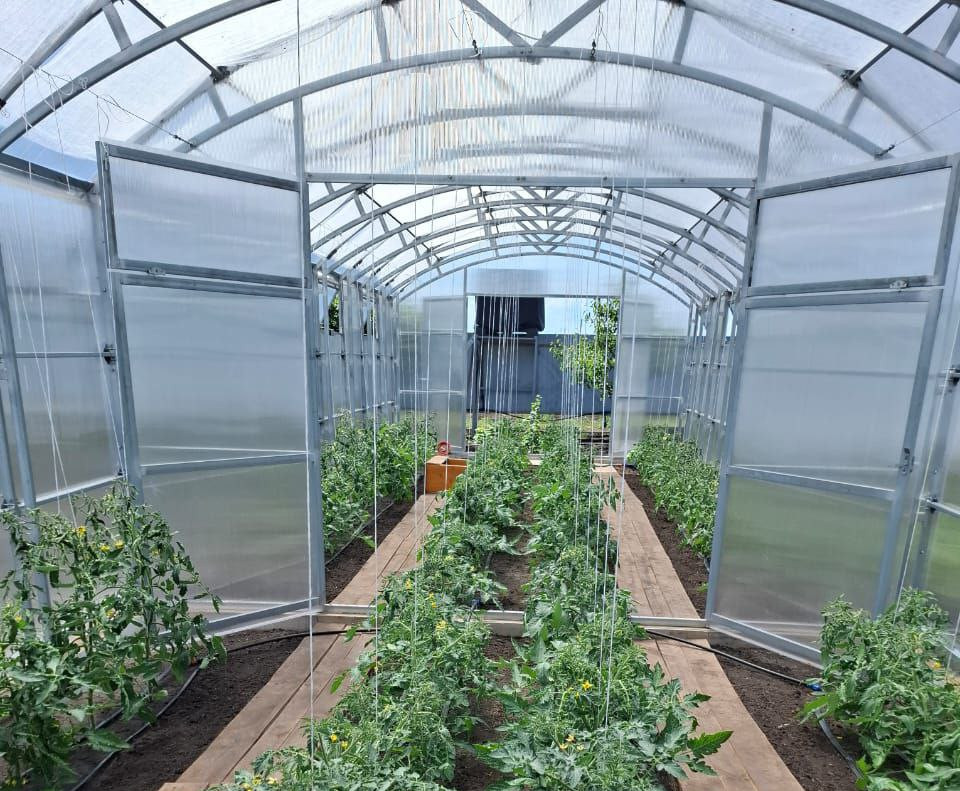 Photo 2025 10 27 14 43 34 6