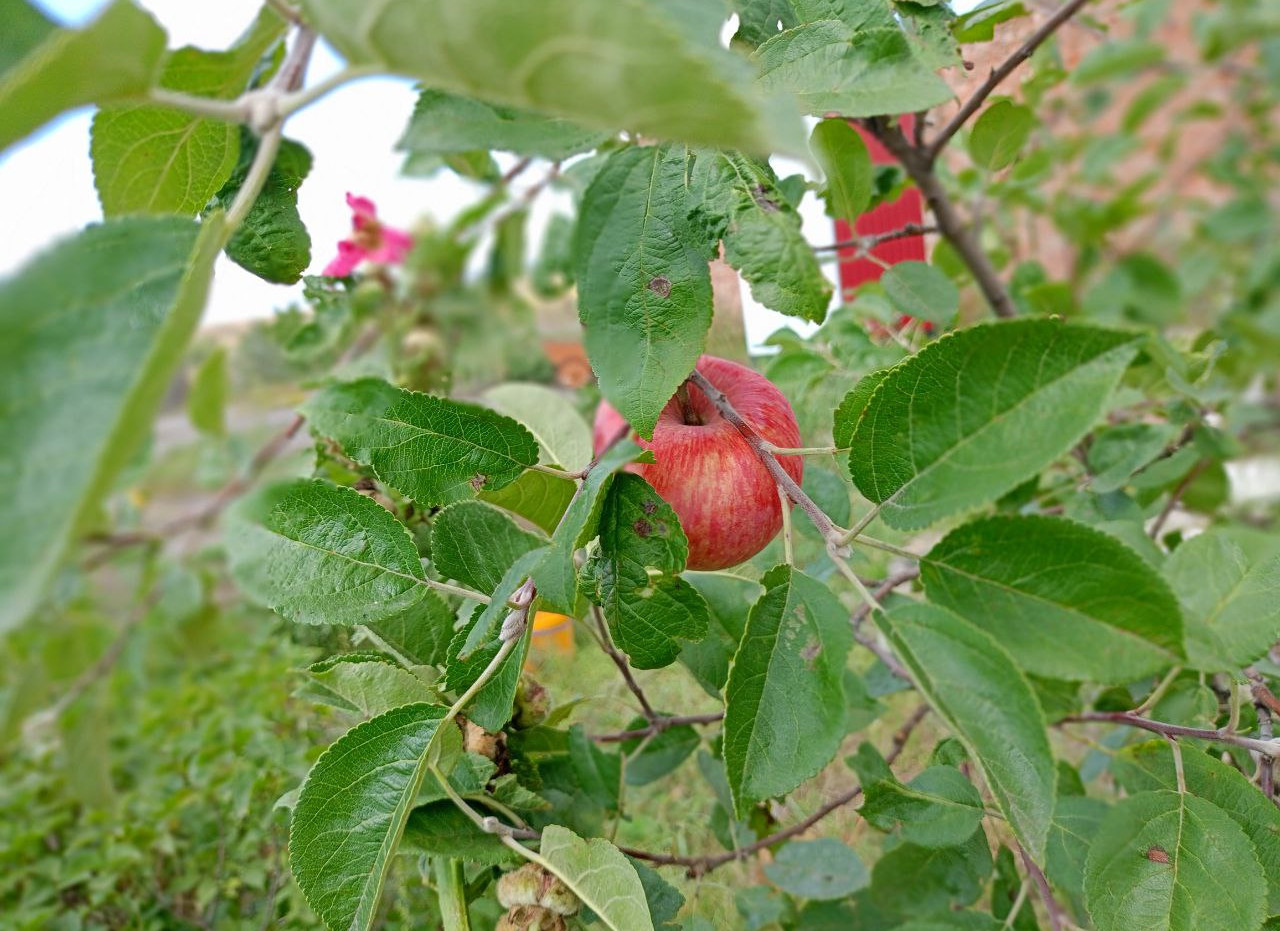 Photo 2025 10 28 11 00 34