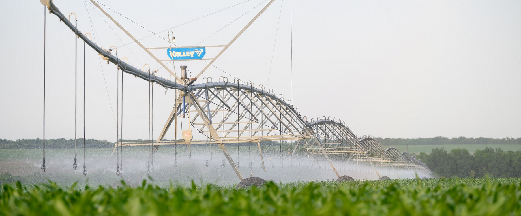 Voda Dlya Urozhaya 2