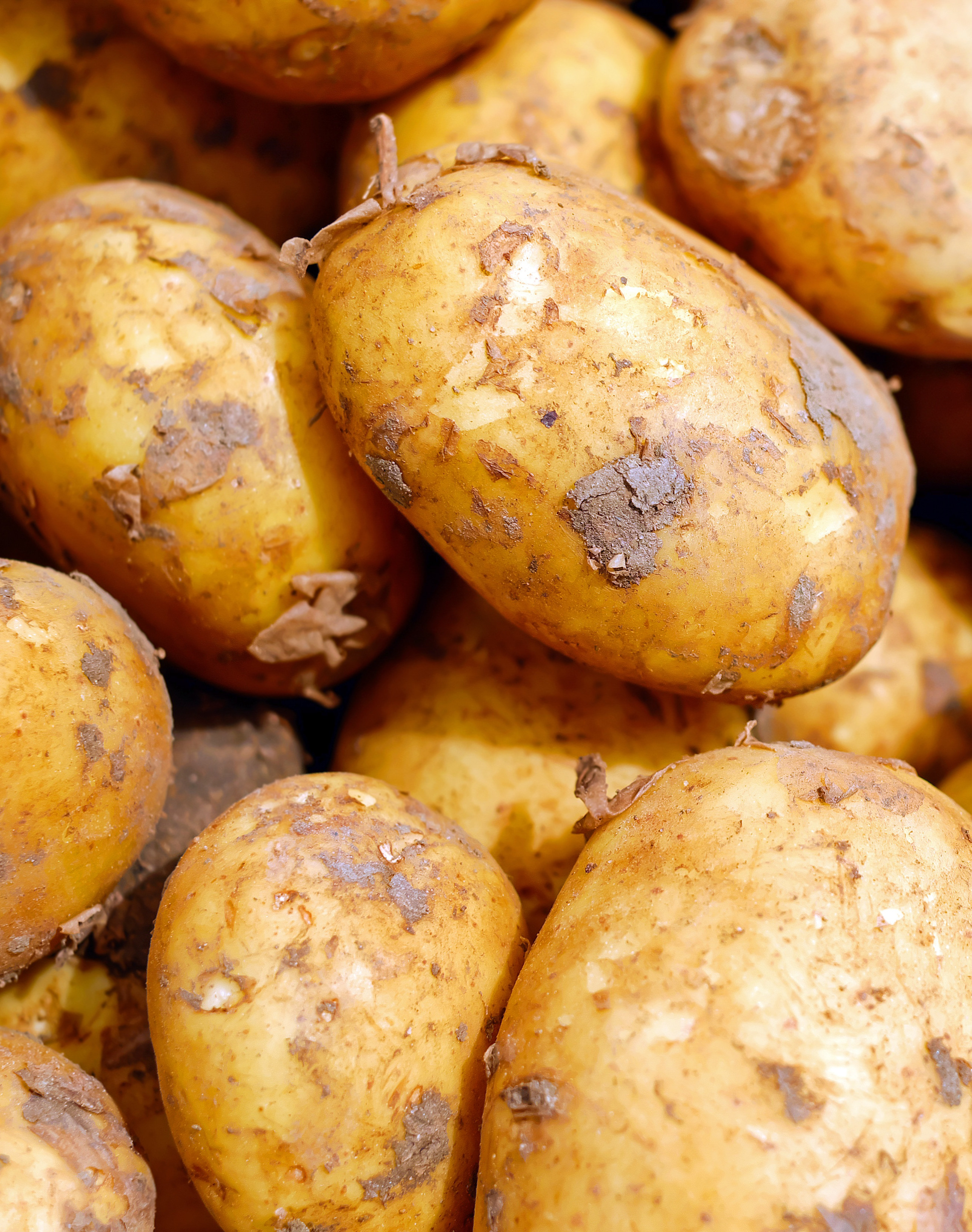 Potatoes 2329648