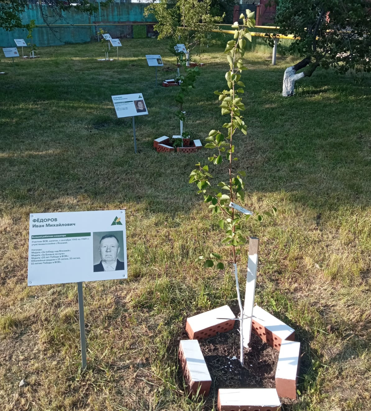 Rabotniki Sozdayut Svoj Sad Pamyati Na Territorii Predpriyatiya 3