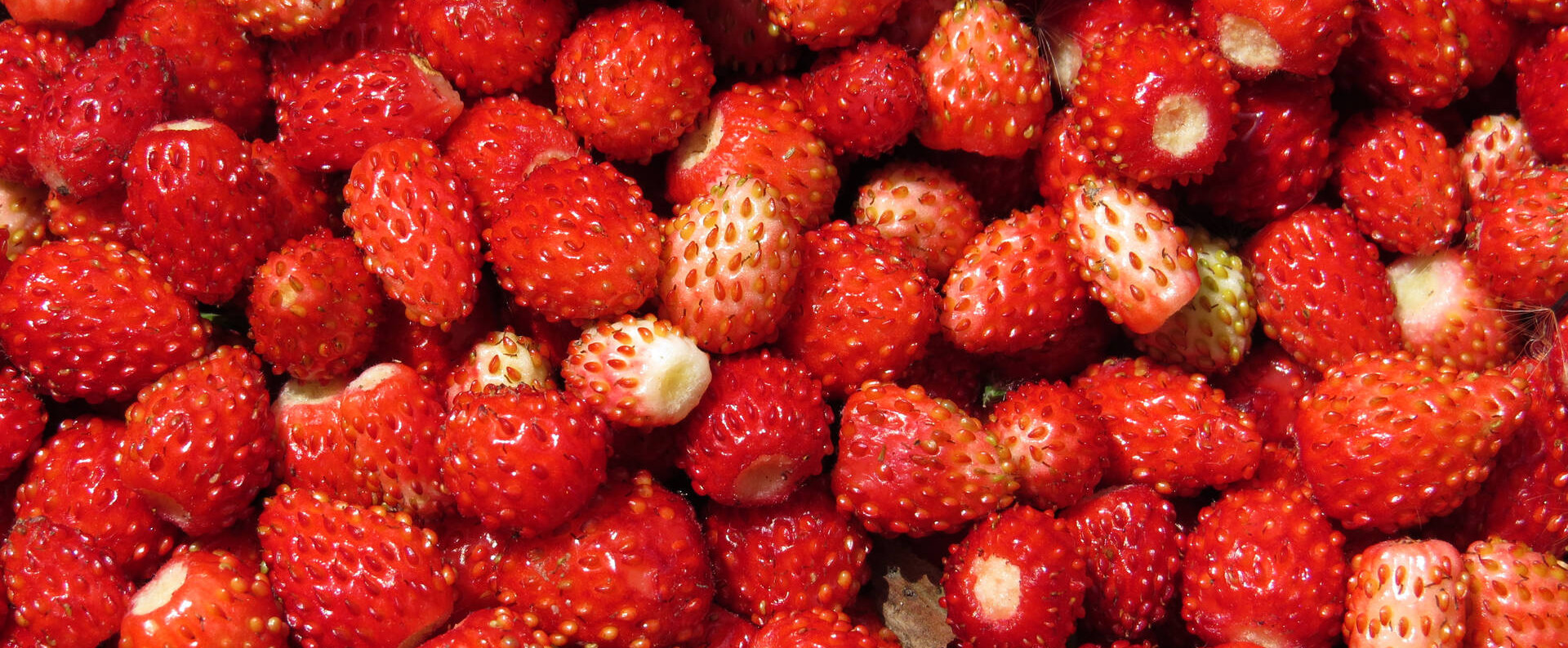 Berries Strawberries Background Strawberry Wallpaper Desktop 28995