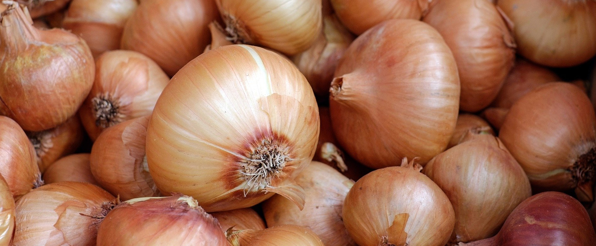 Onions 1397037 1920
