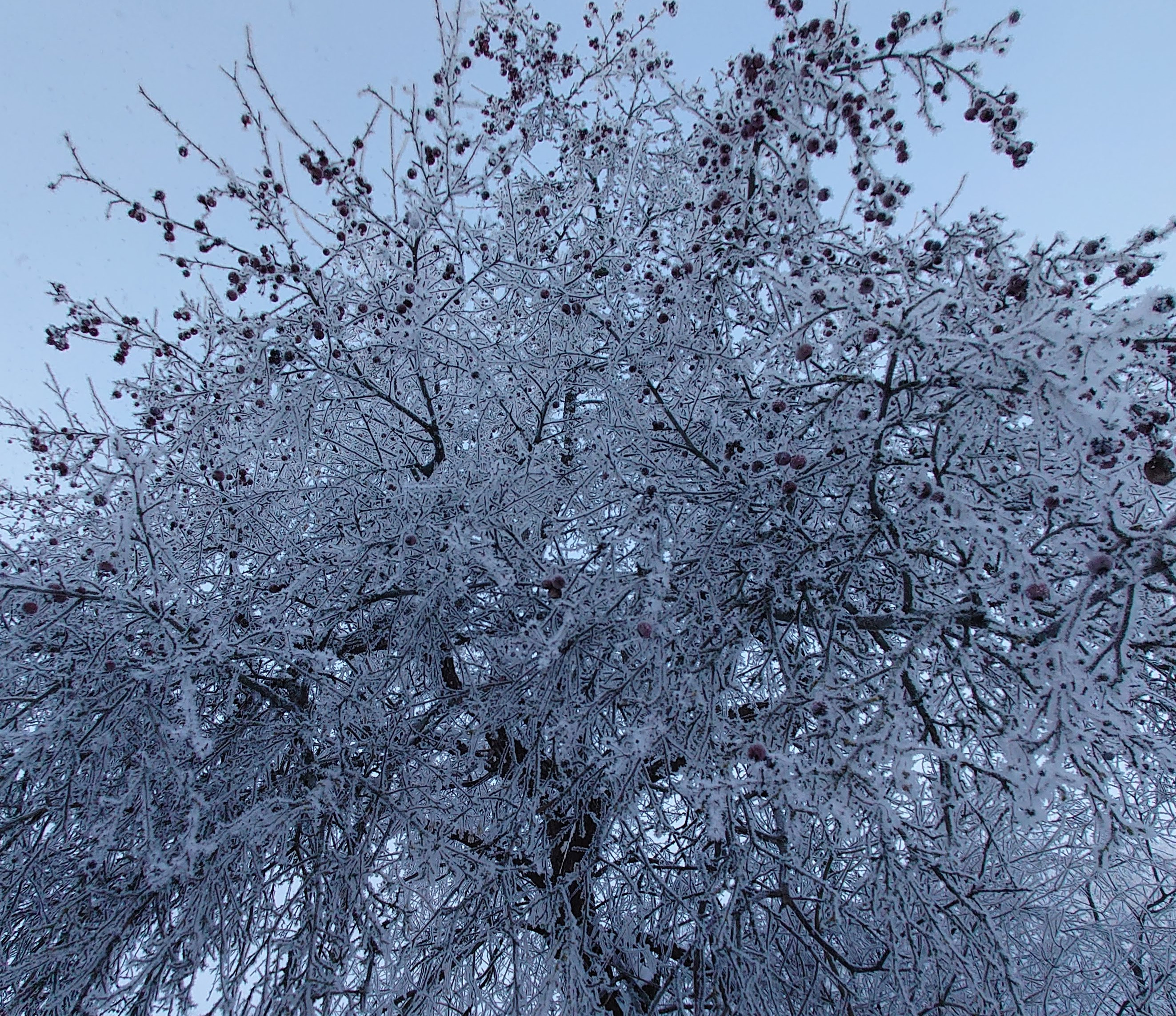 Krasota Vblizi 1 Mesto Xanova