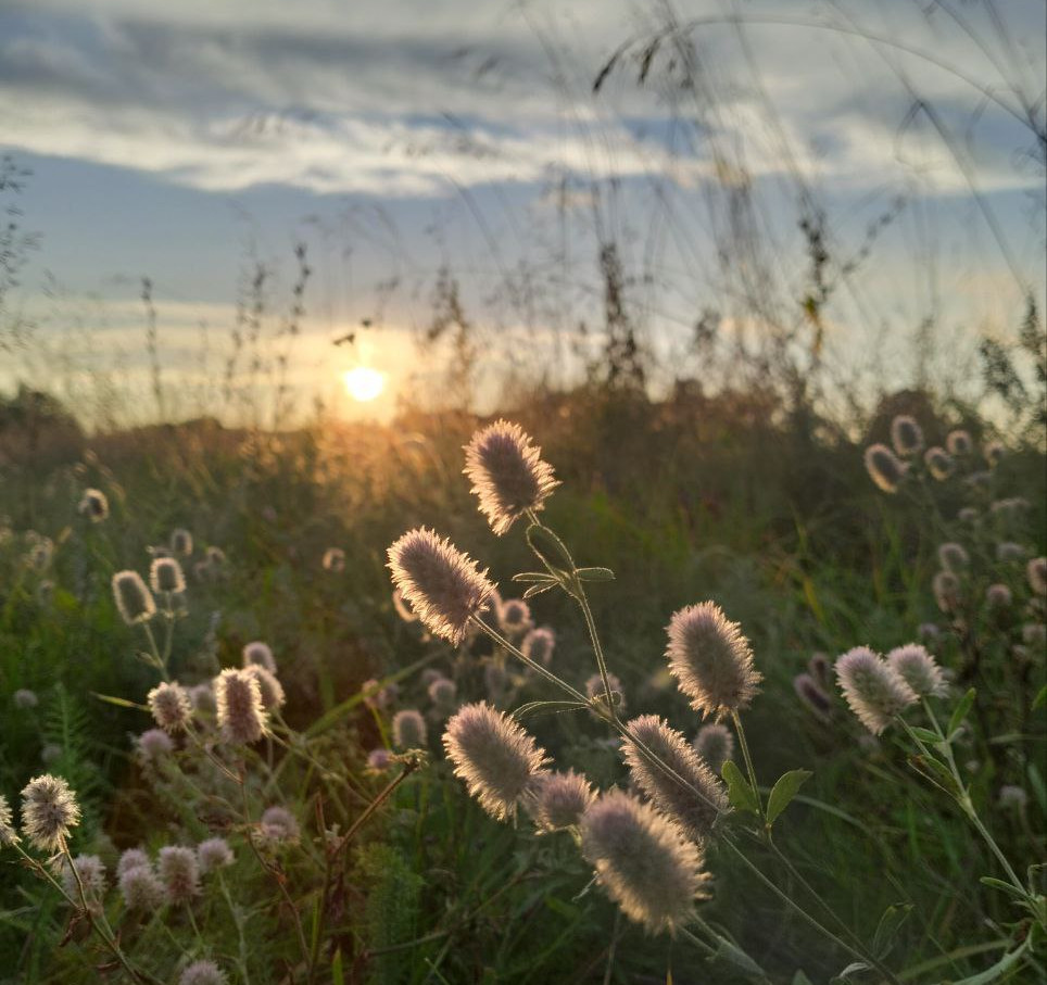 Krasota Vblizi 2 Mesto Filippova